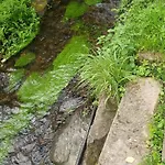 A La Petite Fontaine-plain Pied-maison Alsacienne Renovee Avec Passion-4 Pers-4nuitees Minimum Lejlighed *
