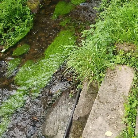 A La Petite Fontaine-plain Pied-maison Alsacienne Renovee Avec Passion-4 Pers-4nuitées Minimum Appartamento *