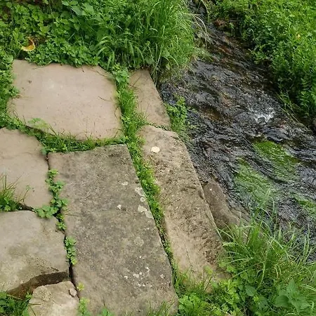 A La Petite Fontaine-plain Pied-maison Alsacienne Renovee Avec Passion-4 Pers-4nuitées Minimum Appartamento