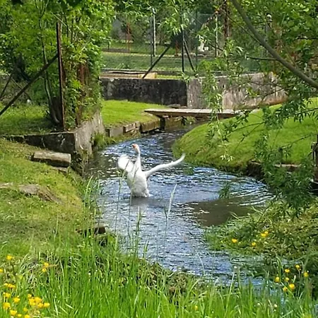 A La Petite Fontaine-plain Pied-maison Alsacienne Renovee Avec Passion-4 Pers-4nuitées Minimum *
