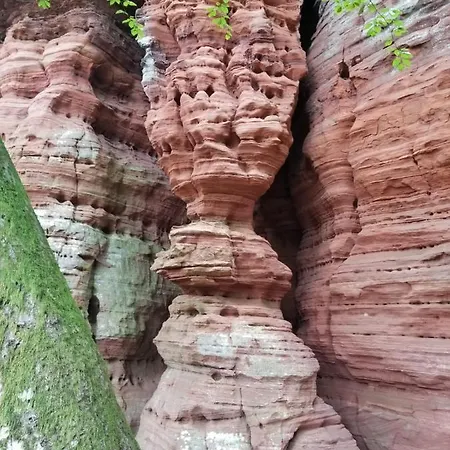 Appartamento A La Petite Fontaine-plain Pied-maison Alsacienne Renovee Avec Passion-4 Pers-4nuitées Minimum