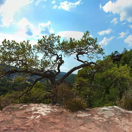 A La Petite Fontaine-plain Pied-maison Alsacienne Renovee Avec Passion-4 Pers-4nuitees Minimum 아파트 Langensoultzbach