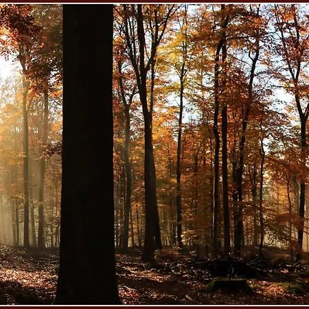 A La Petite Fontaine-plain Pied-maison Alsacienne Renovee Avec Passion-4 Pers-4nuitées Minimum Appartamento Langensoultzbach