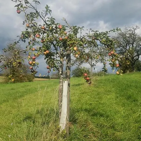 A La Petite Fontaine-plain Pied-maison Alsacienne Renovee Avec Passion-4 Pers-4nuitées Minimum Langensoultzbach