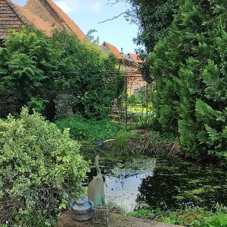 A La Petite Fontaine-plain Pied-maison Alsacienne Renovee Avec Passion-4 Pers-4nuitées Minimum