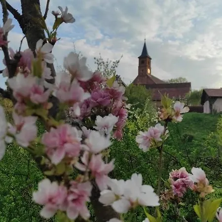 아파트 A La Petite Fontaine-plain Pied-maison Alsacienne Renovee Avec Passion-4 Pers-4nuitees Minimum