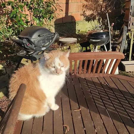 A La Petite Fontaine-plain Pied-maison Alsacienne Renovee Avec Passion-4 Pers-4nuitées Minimum Appartamento *