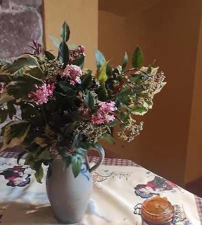 Appartamento A La Petite Fontaine-plain Pied-maison Alsacienne Renovee Avec Passion-4 Pers-4nuitées Minimum *