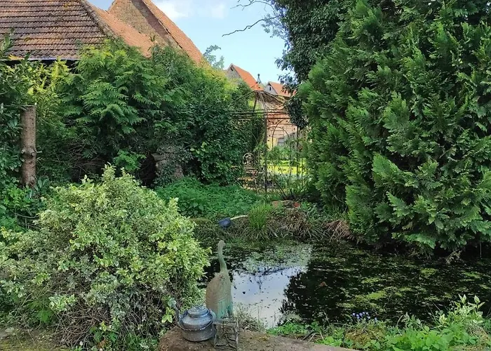 A La Petite Fontaine-plain Pied-maison Alsacienne Renovee Avec Passion-4 Pers-4nuitees Minimum